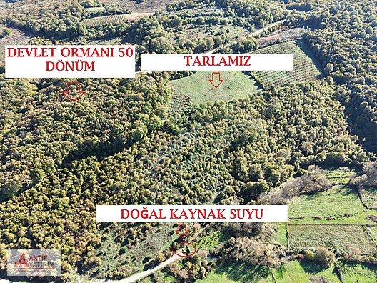 BAĞIRGANLI'DA VADİ MANZARALI BÜYÜK ORMANA CEPHELİ 10 DÖNÜM TARLA - KOCAELİ KANDIRA fotoğraf 17
